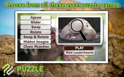 Weird Animals Puzzle Games