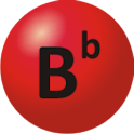 Bond Calculator Basic logo