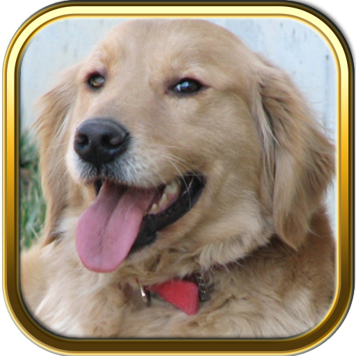 Golden Retriever Puzzle Games LOGO-APP點子