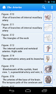 免費下載醫療APP|Gray's Anatomy Lite app開箱文|APP開箱王
