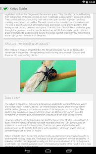 Download Bugs of New Zealand APK