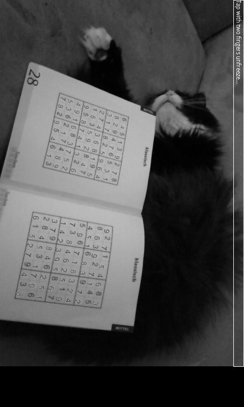 AR Sudoku Solver Screen 1