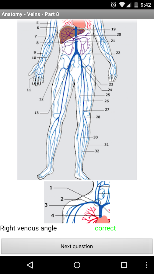 Anatomy - Veins - Android Apps on Google Play
