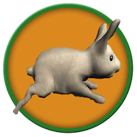 Ikon Run Rabbit Run APK