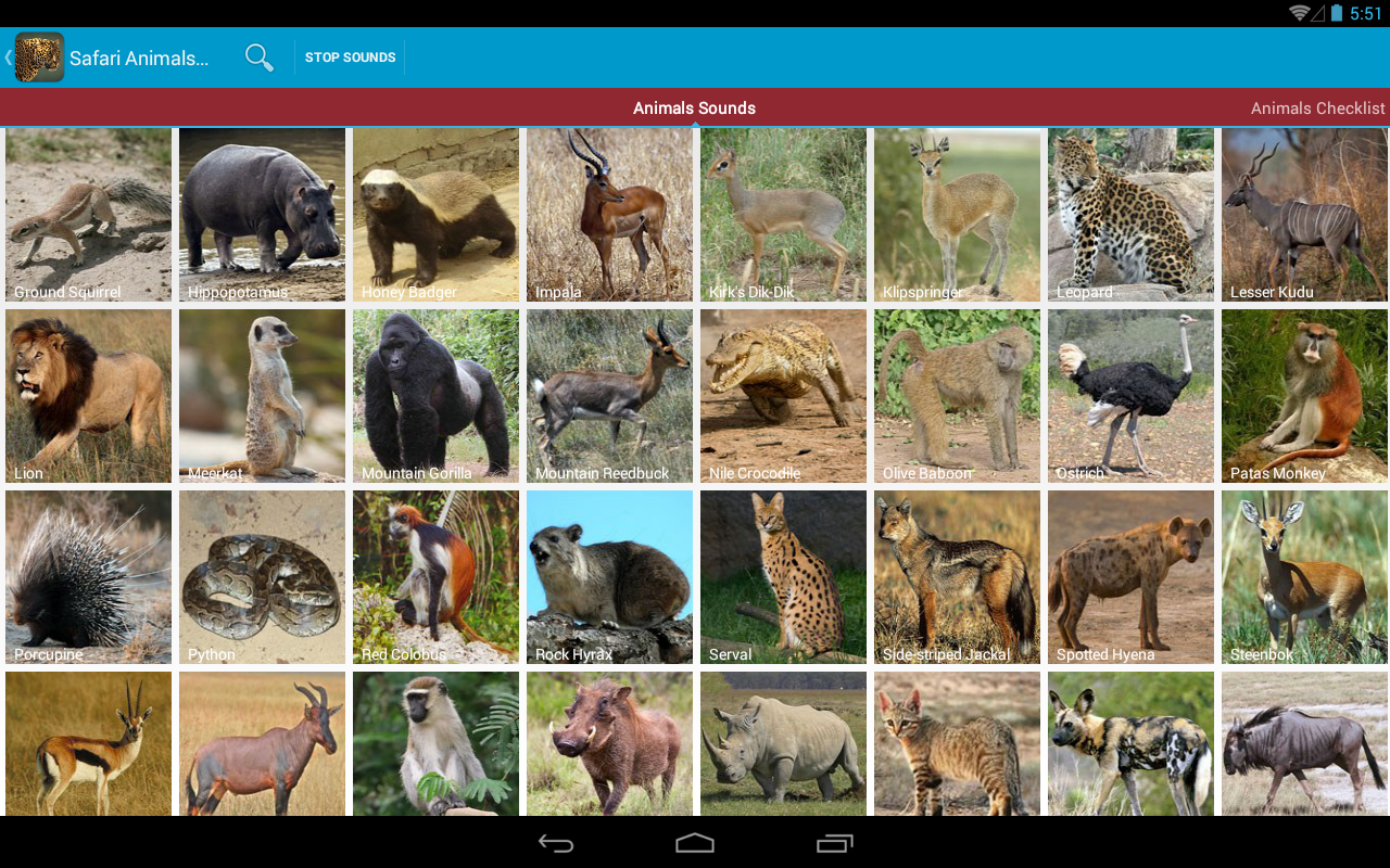 Safari Animal Sounds and List - Android Apps on Google Play