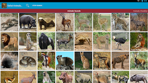 African Animals List / African Animals List With Pictures, Facts, Information & Worksheet