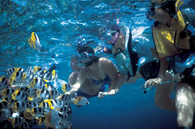 Get up close and personal with a school of tropical fish while snorkeling during your Windstar Cruises sailing.  