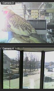 Viewer for Wanscam cameras(圖5)-速報App