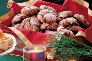 Snow-Topped Chocolate Mint Cookies