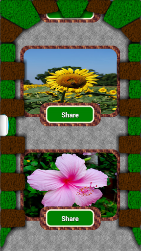 【免費攝影App】Flower Mania photo share pro-APP點子