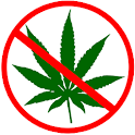 Drug Test Info logo