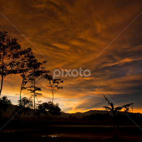 by Taufique Rahman - Landscapes Sunsets & Sunrises