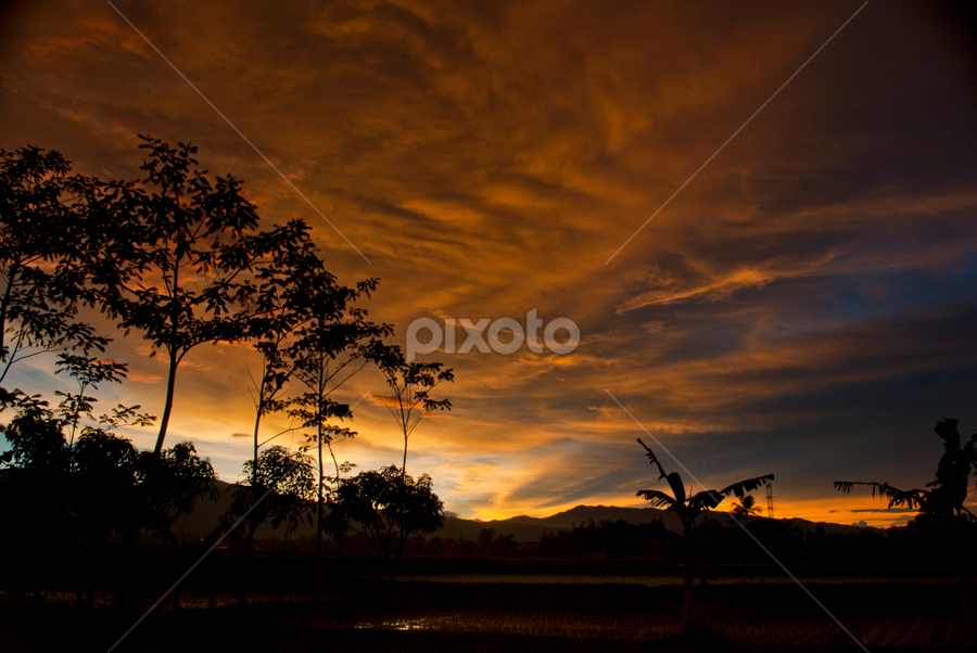 by Taufique Rahman - Landscapes Sunsets & Sunrises