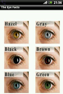 The Eye Facts(圖3)-速報App