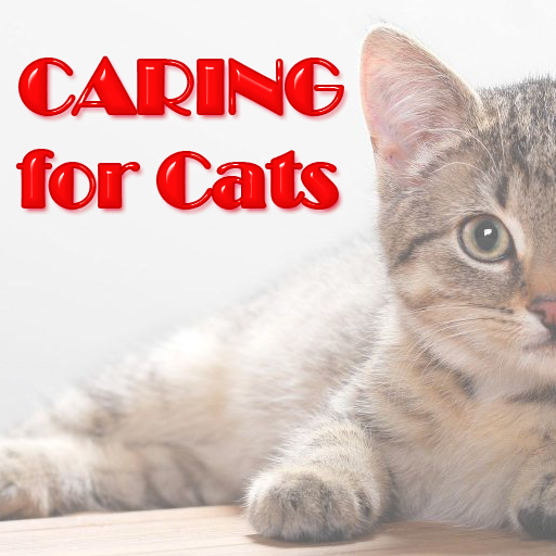 Caring For Cats