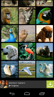 Animals Wallpapers(圖2)-速報App