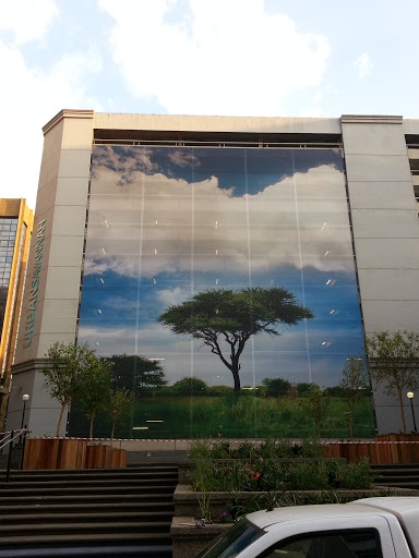 Giant Tree Mural