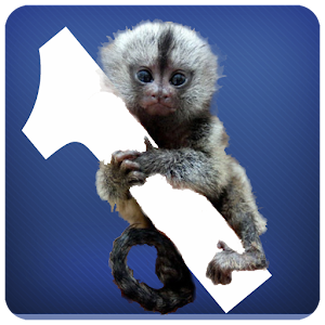 MonQ - Memory Game.apk 1.04