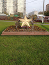 Звезда Победы В Парке Ветеранов