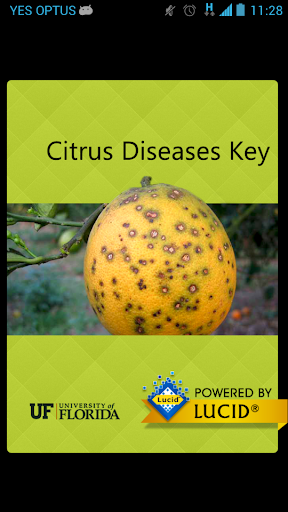 Citrus Diseases Key