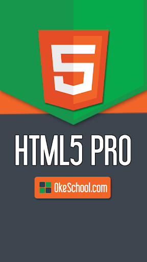 HTML5 Pro Guide