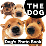 THE DOG　Photo Book Shiba 1.0.0 Icon