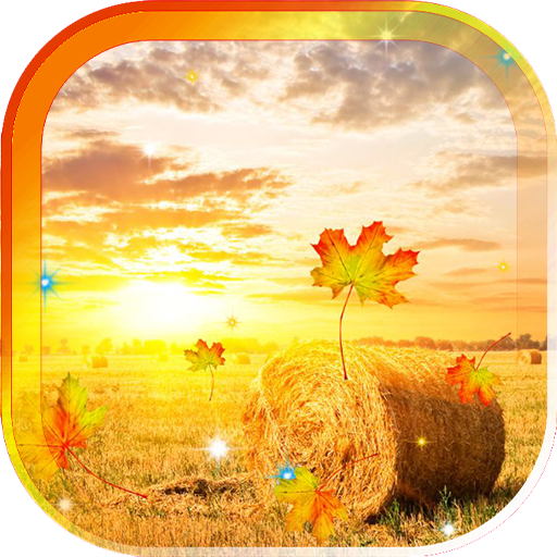 Sunrise Autumn live wallpaper 個人化 App LOGO-APP開箱王