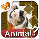 Who am I? -animal guess trivia mobile app icon