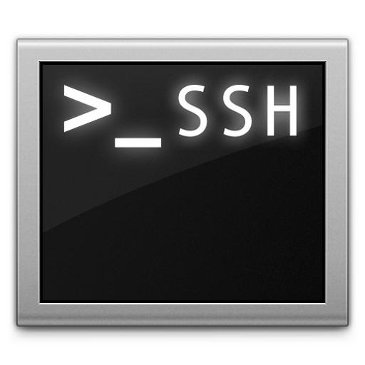 Rooted SSH / SFTP 데몬 工具 App LOGO-APP開箱王