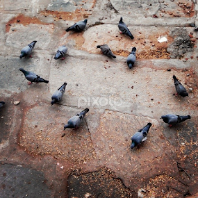 by Rahul Joshi - Instagram & Mobile Android