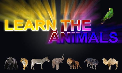 Learn The Animals Full