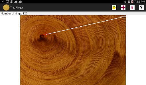 Tree Ringer:Tree Ring Counting