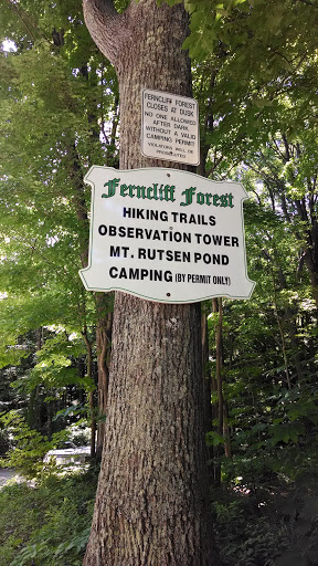 Ferncliff Forest