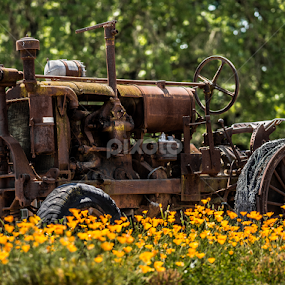 Out to Pasture by Richard Beckmann - Artistic Objects Antiques