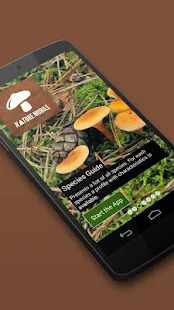iKnow Mushrooms 2 LITE(圖1)-速報App