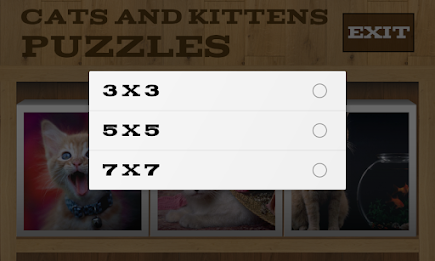 Cats and Kittens Puzzles poster 3