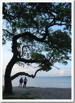 Changi Beach 102 edited