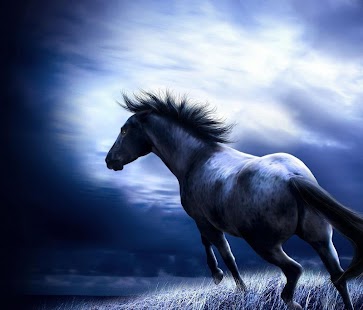 Free Download Horse Wallpapers APK