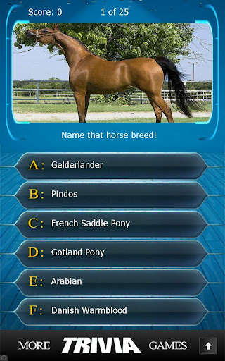 Name that Horse Breed Trivia