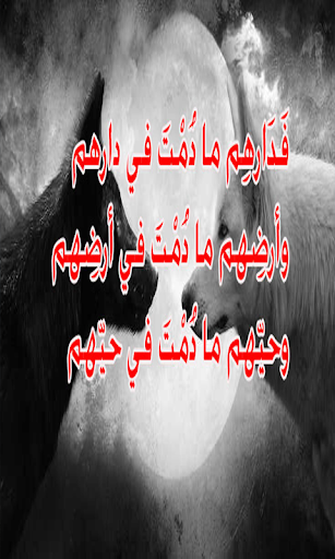 اروع 100 حكمه