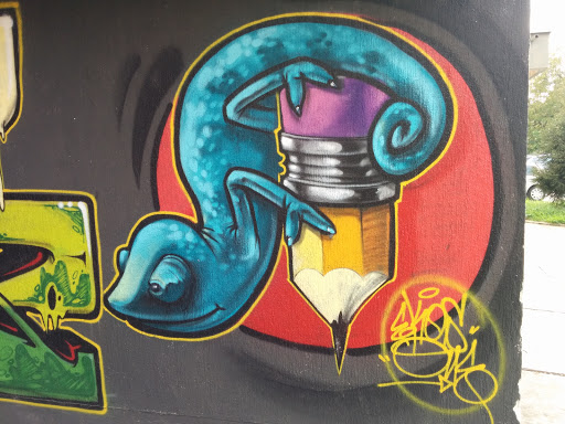 Grafit Gušter