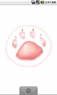 Paw Pad