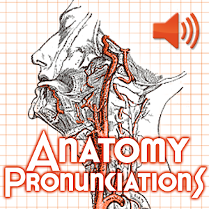 Anatomy Pronunciations logo