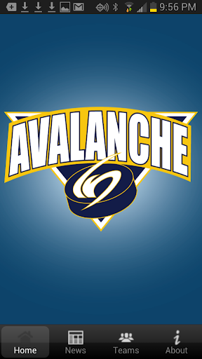 NJ Avalanche