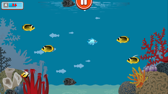 Grumpy Fish(圖2)-速報App