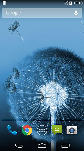 Dandelion Live Wallpaper