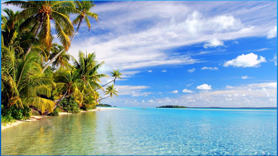 How to get Wonderful Ocean Wallpapers lastet apk for laptop