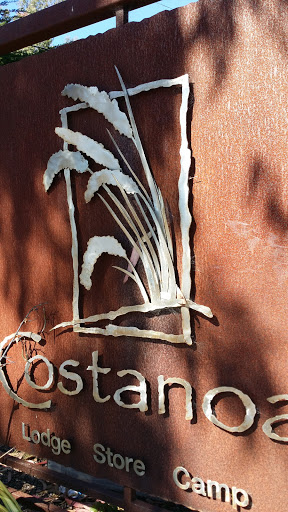 Costanoa's Cattails