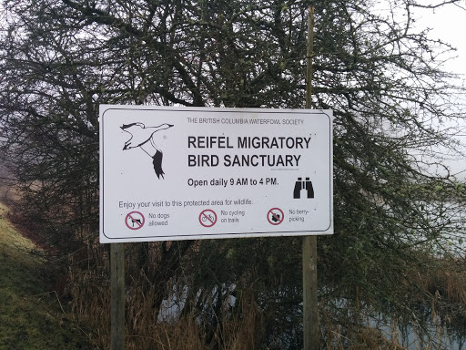 Reifel Migratory Bird Sanctuary