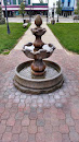 Paw Paw Park Fountain